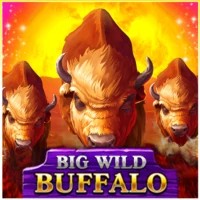 game logo by Belatra Games on sspinzen.com