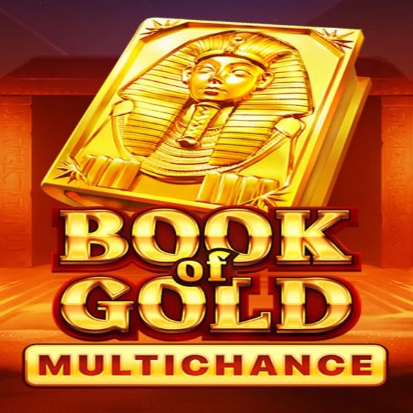 Book of Gold Multichance logo by Playson at Spinzen Casino